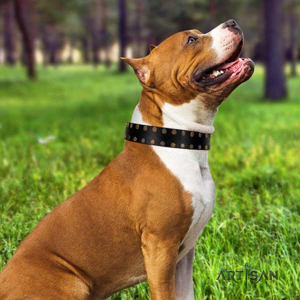 Amstaff handmade natural genuine leather dog collar for easy wearing