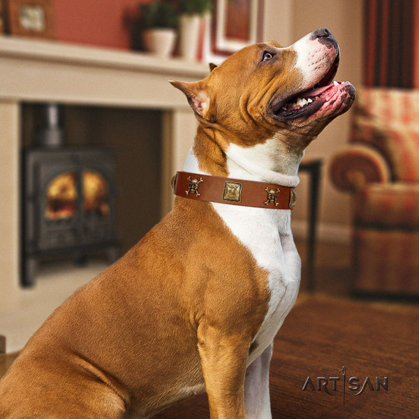Amstaff easy wearing full grain natural leather dog collar for handy use