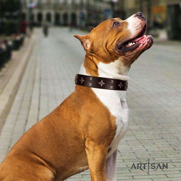 Amstaff convenient full grain leather dog collar for comfy wearing