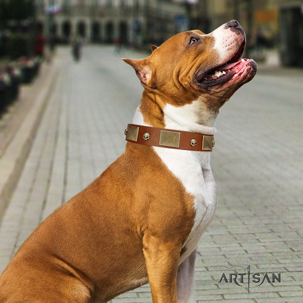 Amstaff fine quality leather dog collar for easy wearing