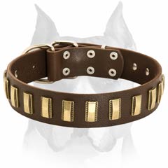 Multipurpose fancy decorated leather dog collar for Amstaff breed