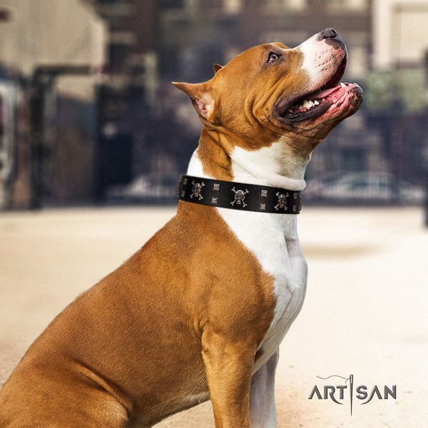 Amstaff easy adjustable full grain leather dog collar for basic training