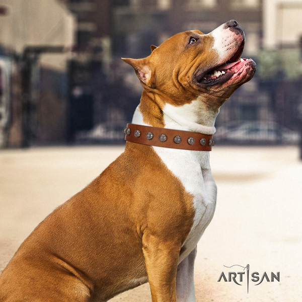 Amstaff inimitable genuine leather dog collar for easy wearing