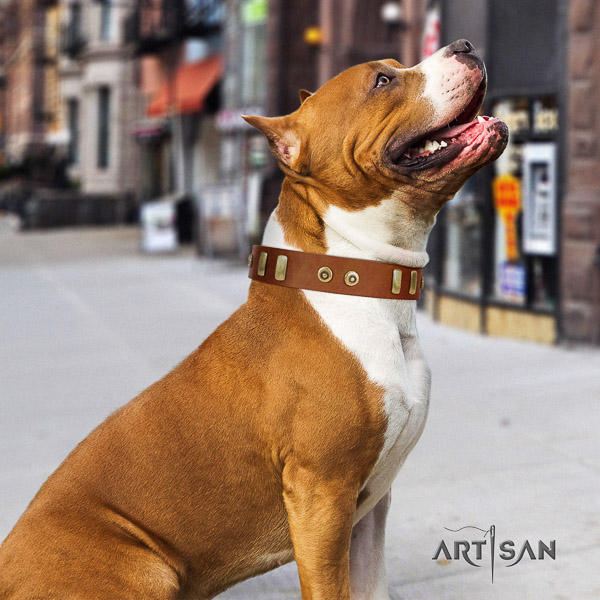 Amstaff easy to adjust full grain leather dog collar for daily walking