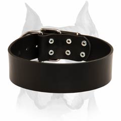 traditionally designed Amstaff leather dog collar