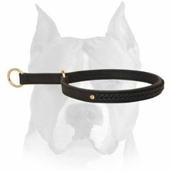 Decorative Handcrafted Collar For Obedience Training.