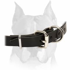 Wide Leather Collar for American Stafforshire
