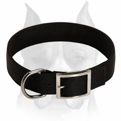 Belt Buckled Collar For Amstaff