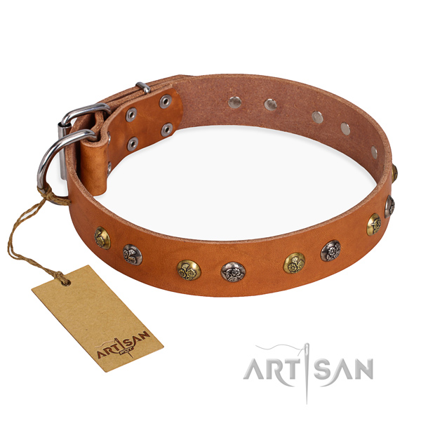 Daily use embellished dog collar with rust-proof traditional buckle