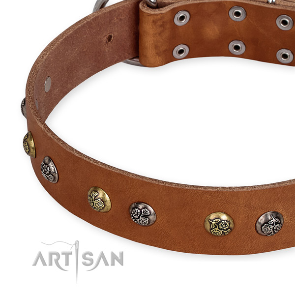 Genuine leather dog collar with exquisite reliable studs