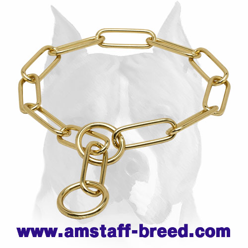 dog brass chain