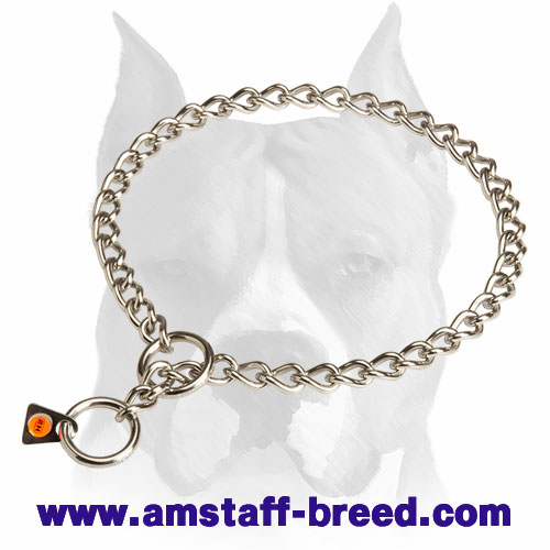 dog leash choke collar