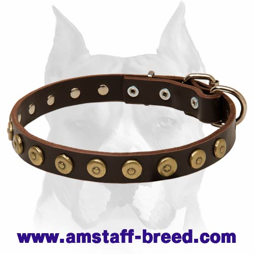 Extra thin dog outlet collar