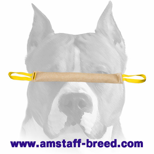 https://www.amstaff-breed.com/images/large/Amstaff-durable-Jute-bite-tug-TE2_LRG.jpg