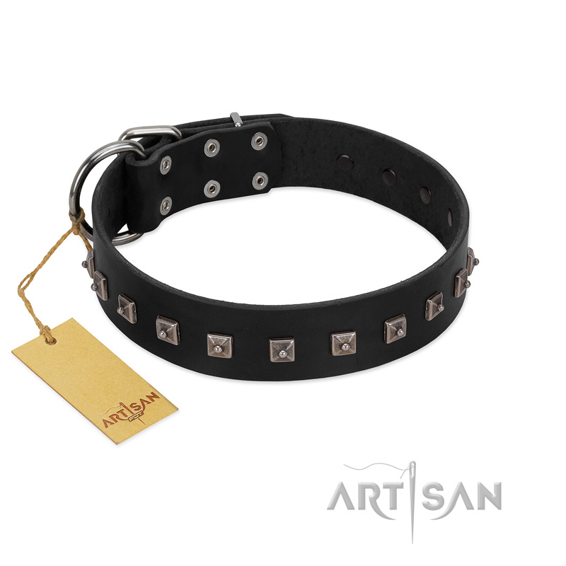 Studded Dog Collar - Unique and Stylish Dog Collar –