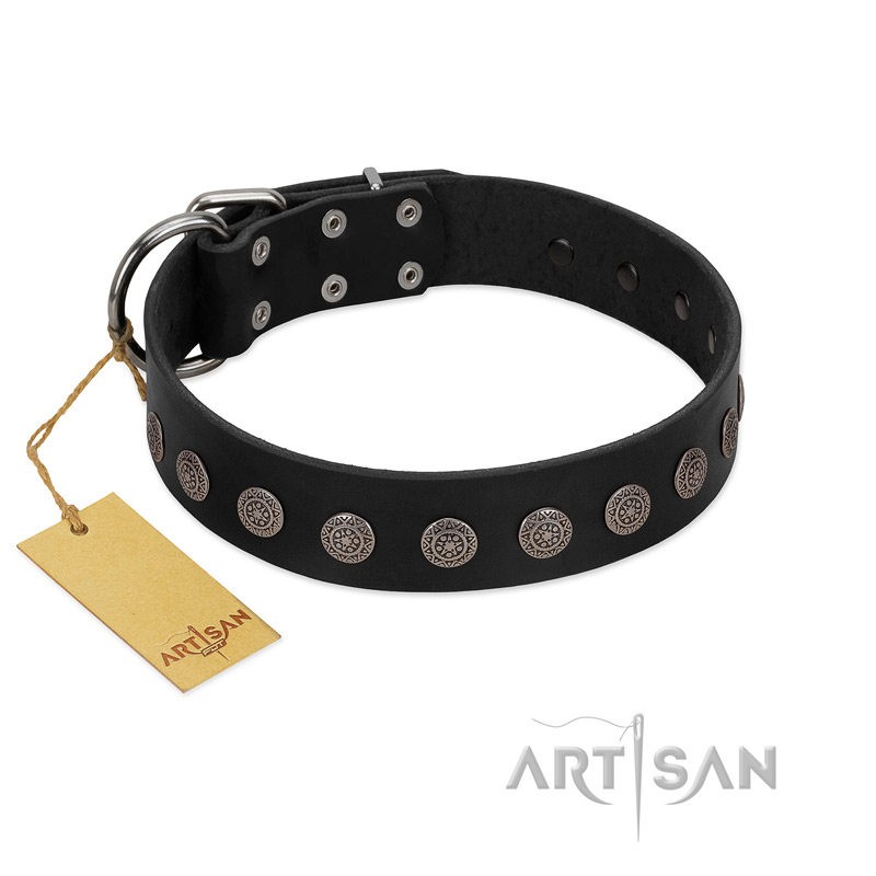 Dog collar with outlet engraved plate