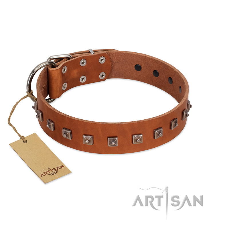 Tan leather outlet collar