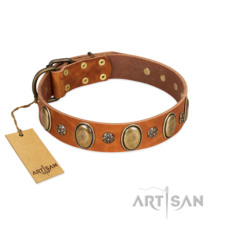 Total Grace FDT Artisan Brown Leather Dog Collar with Eye catchy Ovals and Small Studs