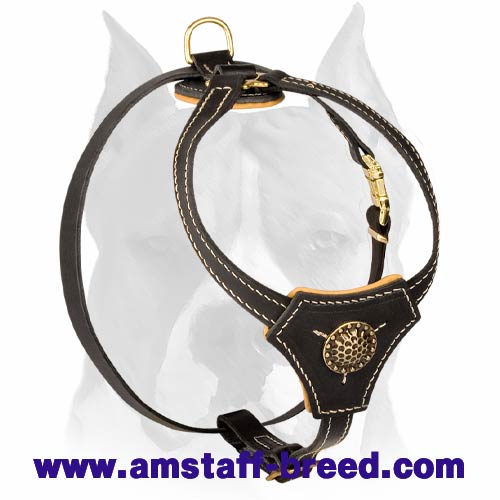 Soft leather best sale dog harness