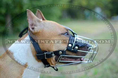Handcrafted Amstaff metal dog muzzle for comfortable walking